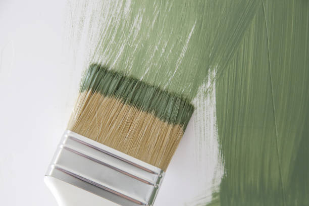 Best Mold Prevention Services  in Elverta, CA