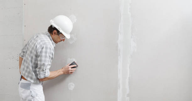 Best Industrial Mold Remediation  in Elverta, CA