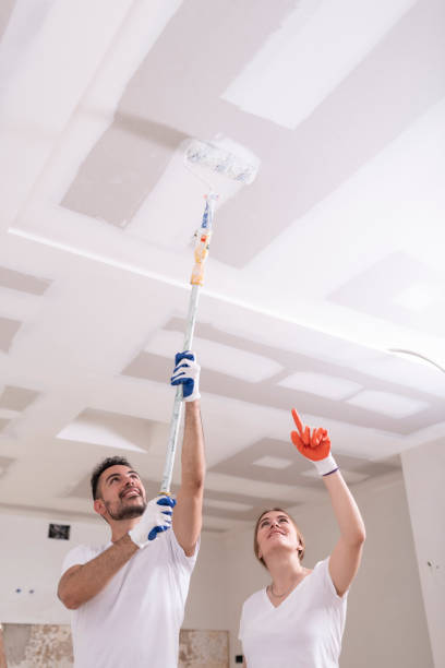 Best Mold Removal for HVAC Installations  in Elverta, CA