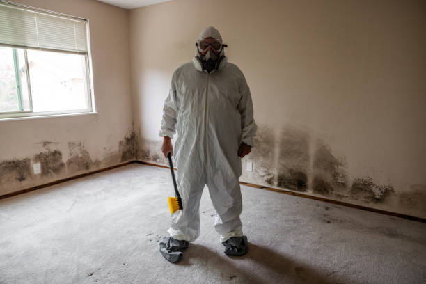 Best Mold Odor Removal Services  in Elverta, CA