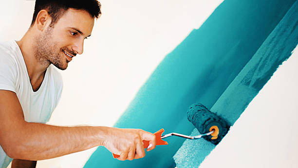 Best Basement Mold Removal  in Elverta, CA
