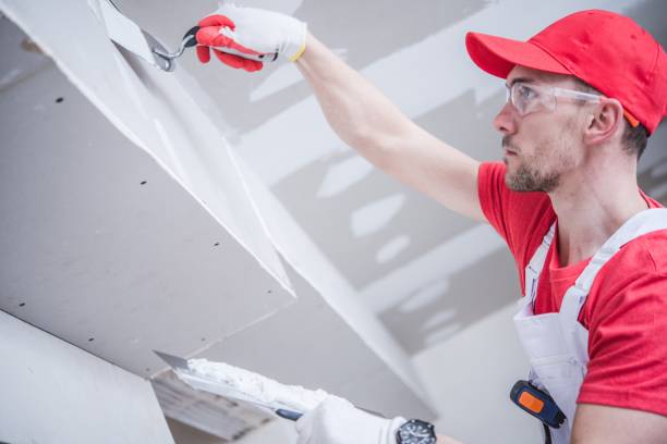 Best Forensic Mold Investigation  in Elverta, CA